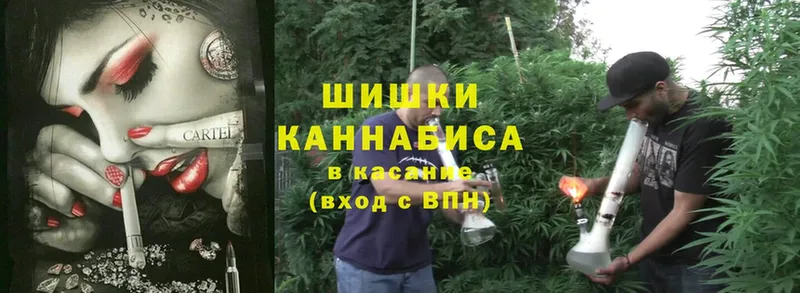 Бошки марихуана LSD WEED  Гай 